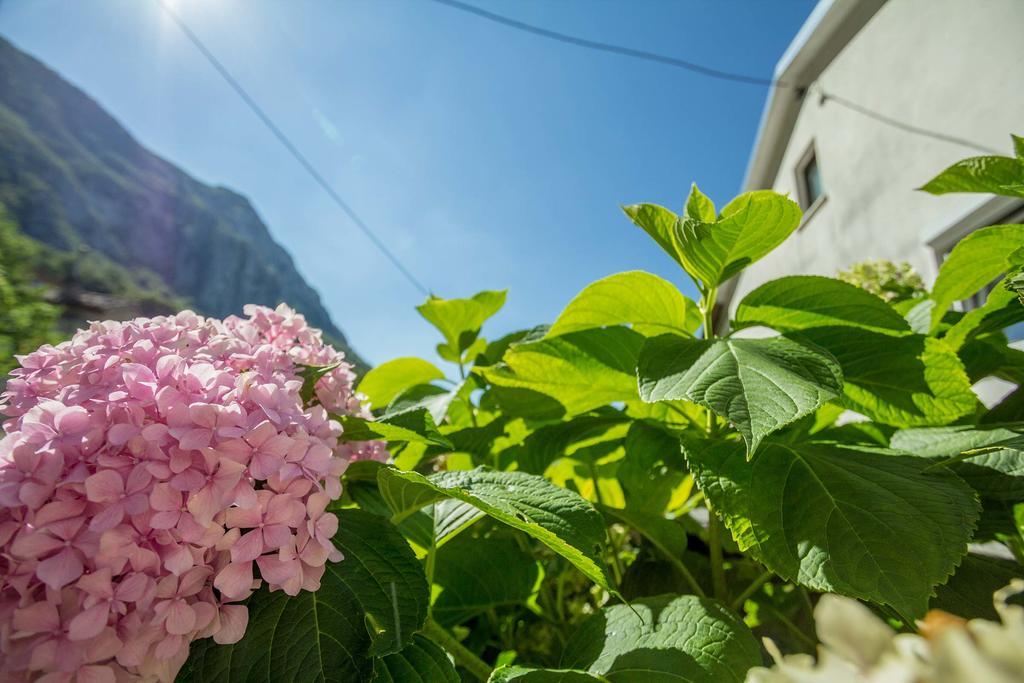 Farm Stay Ferjancic ヴィパーヴァ エクステリア 写真